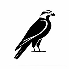 falcon bird black silhouette vector, Simple silhouette Design vector icon with white background. Wild bird