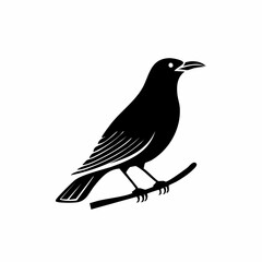 starling bird black silhouette vector, Simple silhouette Design vector icon with white background. Wild bird