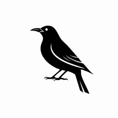 starling bird black silhouette vector, Simple silhouette Design vector icon with white background. Wild bird