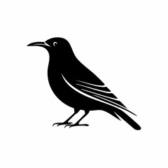 starling bird black silhouette vector, Simple silhouette Design vector icon with white background. Wild bird