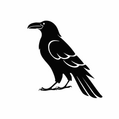 raven bird black silhouette vector, Simple silhouette Design vector icon with white background. Wild bird