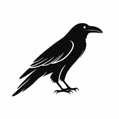 raven bird black silhouette vector, Simple silhouette Design vector icon with white background. Wild bird