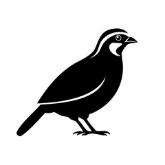 quail bird black silhouette vector, Simple silhouette Design vector icon with white background. Wild bird
