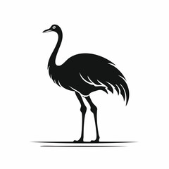 ostrich bird black silhouette vector, Simple silhouette Design vector icon with white background. Wild bird