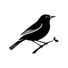 nightingale bird black silhouette vector, Simple silhouette Design vector icon with white background. Wild bird