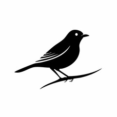 nightingale bird black silhouette vector, Simple silhouette Design vector icon with white background. Wild bird