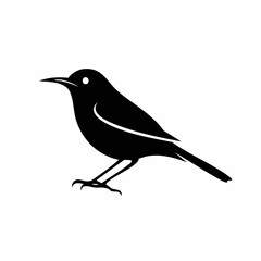 nightingale bird black silhouette vector, Simple silhouette Design vector icon with white background. Wild bird
