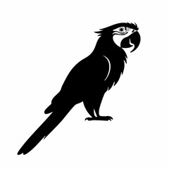 macaw bird black silhouette vector, Simple silhouette Design vector icon with white background. Wild bird