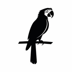 macaw bird black silhouette vector, Simple silhouette Design vector icon with white background. Wild bird
