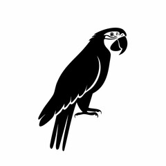 macaw bird black silhouette vector, Simple silhouette Design vector icon with white background. Wild bird
