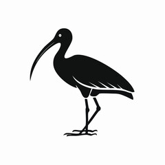 ibis bird black silhouette vector, Simple silhouette Design vector icon with white background. Wild bird
