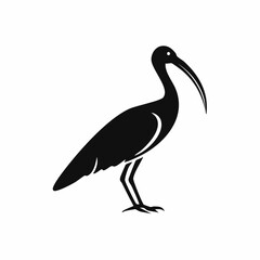 ibis bird black silhouette vector, Simple silhouette Design vector icon with white background. Wild bird