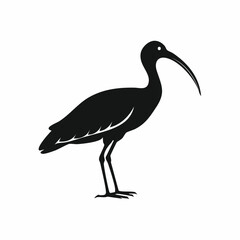 ibis bird black silhouette vector, Simple silhouette Design vector icon with white background. Wild bird