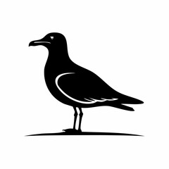 gull bird black silhouette vector, Simple silhouette Design vector icon with white background. Wild bird