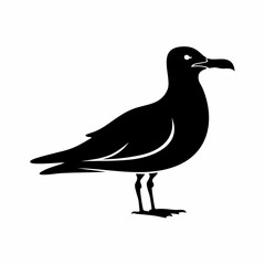 gull bird black silhouette vector, Simple silhouette Design vector icon with white background. Wild bird