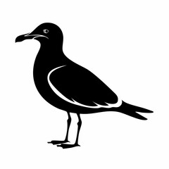 gull bird black silhouette vector, Simple silhouette Design vector icon with white background. Wild bird
