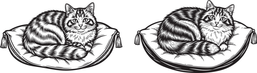 Obraz premium Vector art of two cute cartoon cats lying on cushions