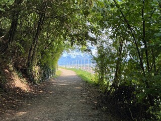 Ein Wanderweg mit Blick nach Lana in Südtirol 