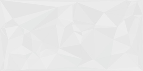 Fototapeta premium Abstract White Polygon Geometric Background