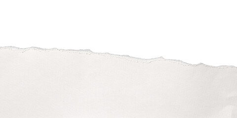 torn or ripped white paper isolated on transparent png background,realistic torn paper edges,Torn Paper effect mockup