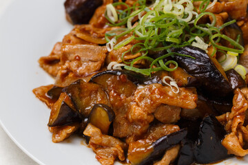 豚バラとナスの炒め物