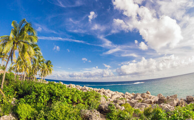 Breathtaking Landscape Of Tropical Coast With Palm Trees, Sea Horizon And Blue Sky In Mexico In Xcaret Park. Scenic Seascape view in sunny day