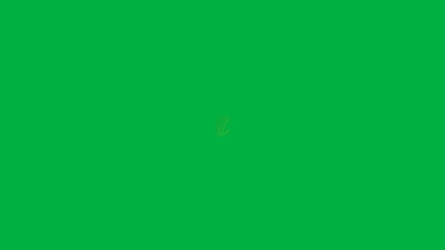 3D Golden Costa Rican Col&oacute;n Currency Symbol Animation on Green Screen