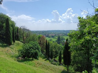Beautiful summer landscape