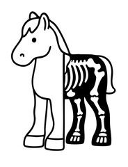 Cute Horse Anatomy Illustration – Half Cartoon, Half Skeleton Drawing