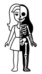 Cute Women Girl Anatomy Illustration – Half Cartoon, Half Skeleton Drawing