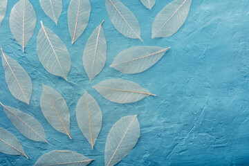 Fototapeta premium Autumn leaves pattern background. Skeleton leaves on a teal blue texture, with a place for text. Fall banner