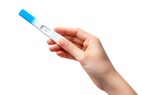 Hand Holding Pregnancy Test. Anticipation and Hope for Family Planning isolated on a transparent background