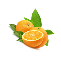 Green, Dark Orange and Light Orange Fresh Fruit Orange Sale for Poster 