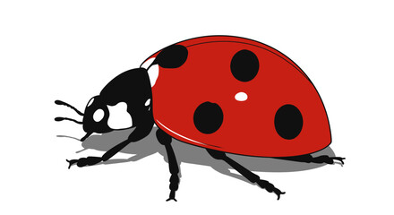 Fototapeta premium Close up illustration of a bright red ladybug with black spots on a white background