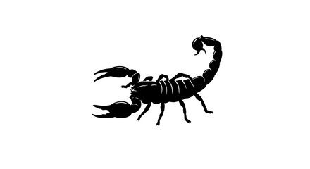 Silhouette of a black scorpion with raised tail and claws against a clean white background