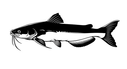 Detailed black and white illustration of a channel catfish with prominent barbels and fins on a white background