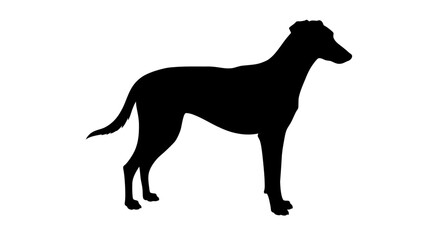 Elegant black silhouette of a graceful greyhound dog standing alertly against a clean white background