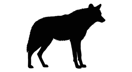 Black silhouette of a standing wolf with alert ears and a bushy tail on a white background