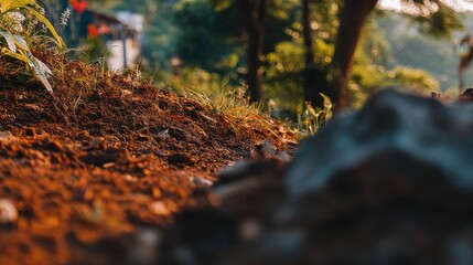 Nature scene ground level view of lush greenery outdoor environment serene landscape close-up perspective