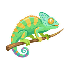 "Ultimate SVG Vector Design Bundle &ndash; Abstract, Geometric, Botanical, Mandala, Minimal, Vintage & Modern Elements for Cricut, Laser Cutting, Sublimation, and DIY Crafts"