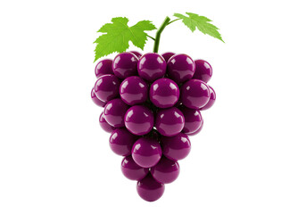 Isolated bunch of fresh purple grapes with green leaves on vine, close-up, studio shot