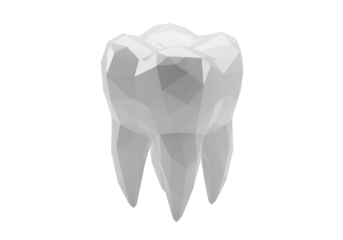 Isolated Polygonal Molar Tooth Rendered in Gray Tones for Dental Health Related Visuals