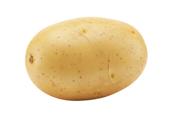 Isolated potato vegetable, fresh produce, organic food, ingredient for cooking dishes