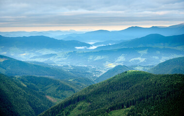 Obraz premium Summer background of the mountains. Breathtaking summer day in wild mountains with coniferous forest and green slopes. Scenic view of the morning mountains. Carpathian vivid landscapes.