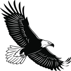 Obraz premium flying bald eagle-black silhouette vector