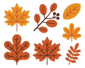 A collection of various autumn leaves and branches with berries. A set of colorful fall foliage icons with a simple flat design style