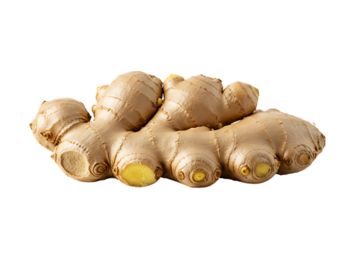 Fresh Ginger Root: Culinary & Medicinal Uses isolated on transparent background