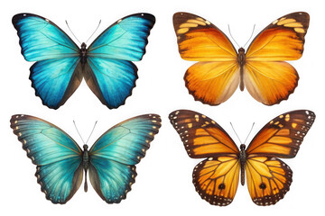 Four vibrant butterflies featuring blue and orange wings in a patterned arrangement transparent background
