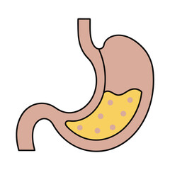 Simple illustration of a human stomach with digestive fluid and food particles anatomy organ