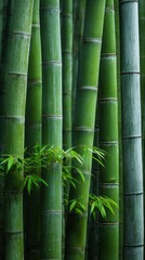 Fototapeta premium Neo-Bamboo A Bio-Luminescent Grove